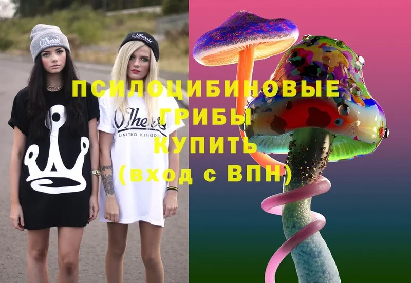 Псилоцибиновые грибы Psilocybe  Прохладный 