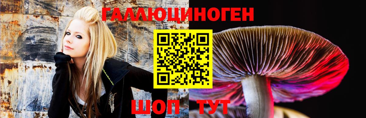Прохладный  Псилоцибиновые грибы GOLDEN TEACHER  купить наркотик  Вход с VPN  Псилоцибиновые грибы мухоморы 